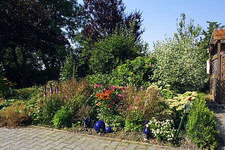 Foto aus der Fotogruppe 