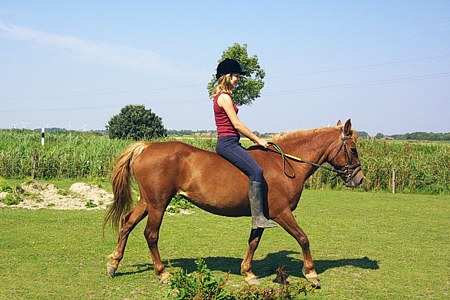 Foto aus der Fotogruppe 