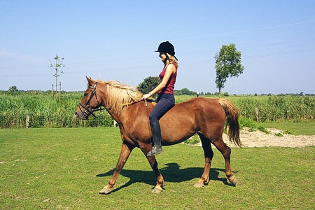 Foto aus der Fotogruppe 